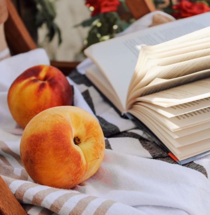 Pêches pique-nique avec un livre Pêches pique-nique avec un livre